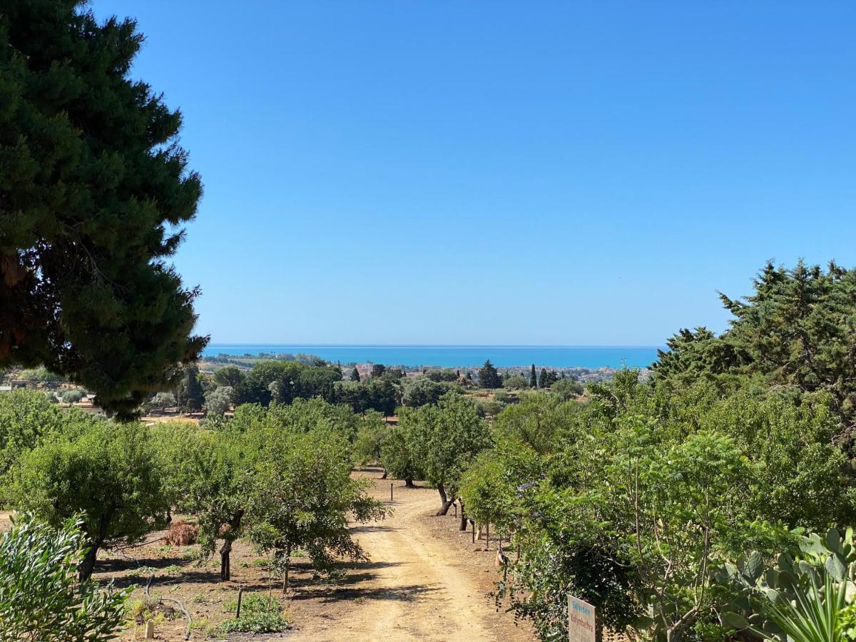 B&B Villa San Marco Agrigento Eksteriør bilde