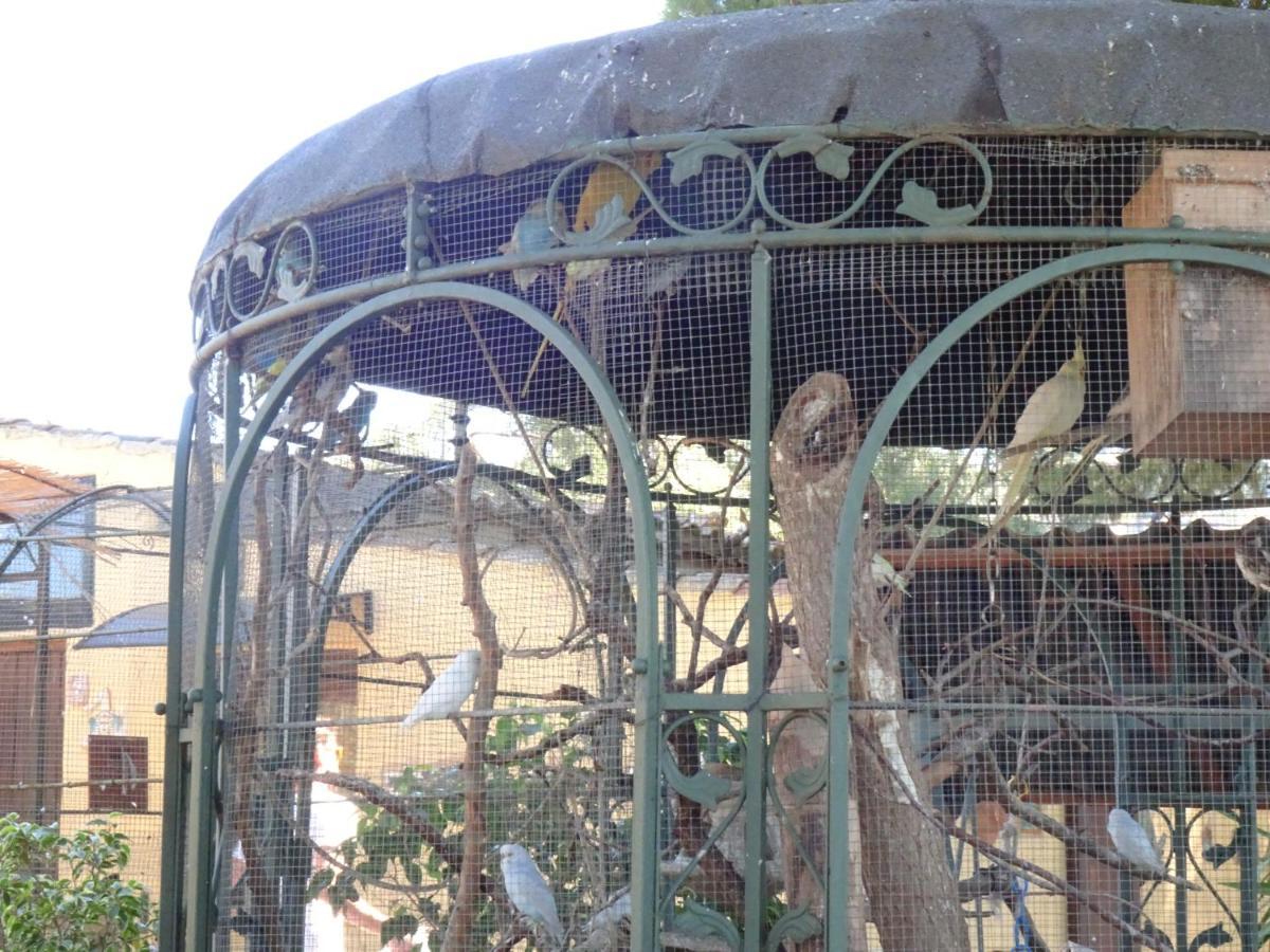B&B Villa San Marco Agrigento Eksteriør bilde